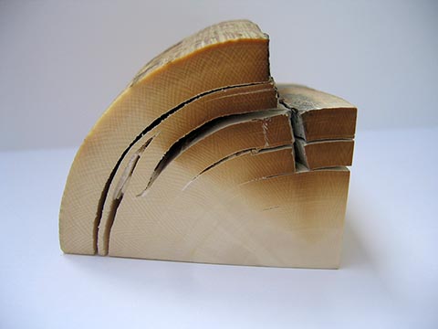 Вид кости бивня мамонта в разрезе. Типичный сетчатый рисунок. Угол в структуре линий рисунка  80-90°.